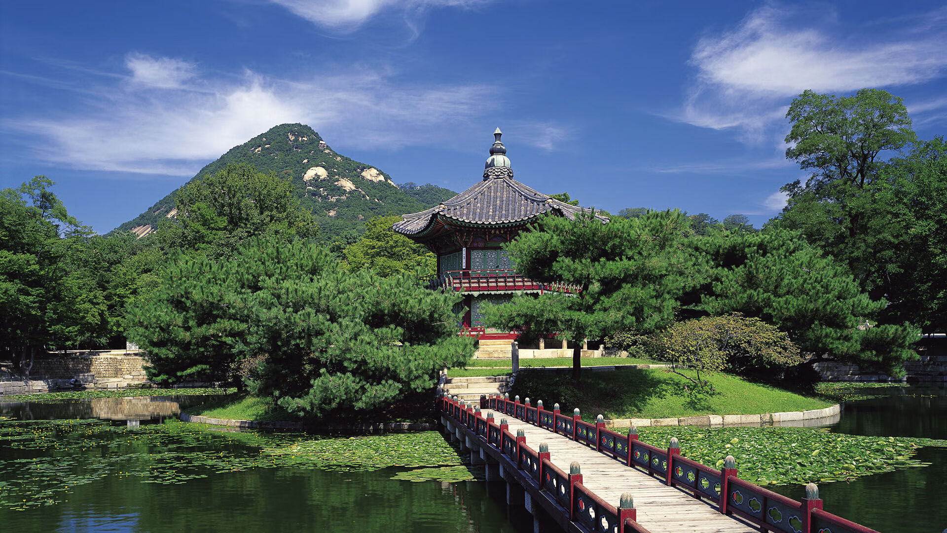 开云app安全认证-水球防守严密波兰队实力增强，波兰球在水沟
