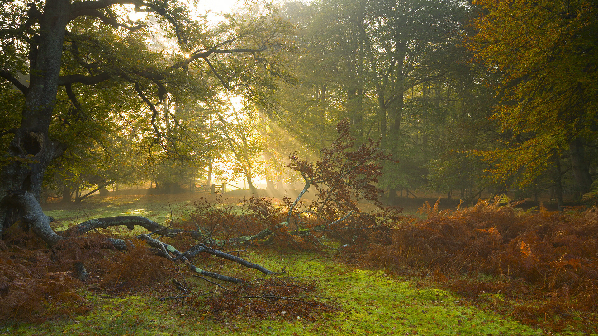 开云体育app安全下载-足球运动员社会责任感增强，积极参与公益项目，足球运动员应该具备哪些素质